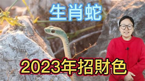 蛇幸運顏色|【屬蛇 顏色】屬蛇2024專屬配色攻略：揭密幸運色和禁忌色，助。